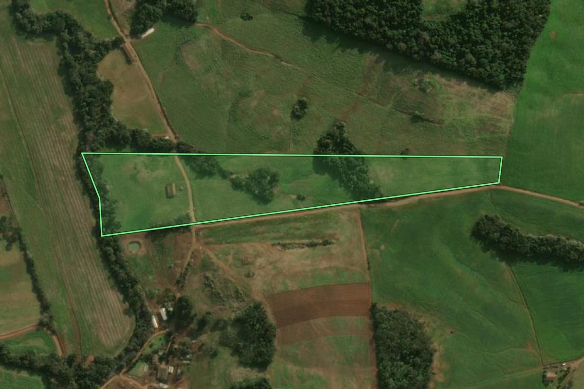 Imagem de satélite do imóvel rural em Dionísio Cerqueira (SC), com o contorno declarado no CAR desenhado por cima.