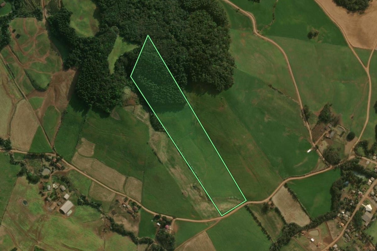 Imagem de satélite do imóvel rural em Dionísio Cerqueira (SC), com o contorno declarado no CAR desenhado por cima.