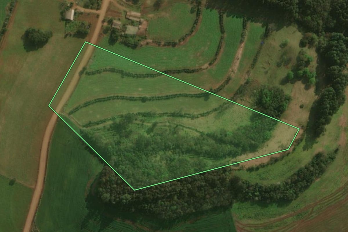Imagem de satélite do imóvel rural em Dionísio Cerqueira (SC), com o contorno declarado no CAR desenhado por cima.