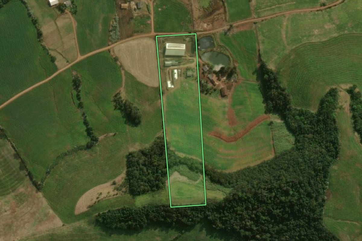 Imagem de satélite do imóvel rural em Dionísio Cerqueira (SC), com o contorno declarado no CAR desenhado por cima.