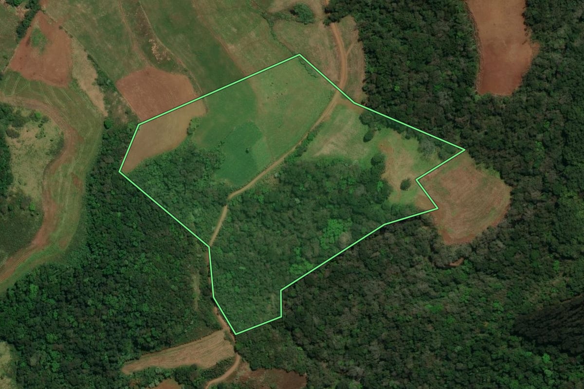 Imagem de satélite do imóvel rural em Dionísio Cerqueira (SC), com o contorno declarado no CAR desenhado por cima.