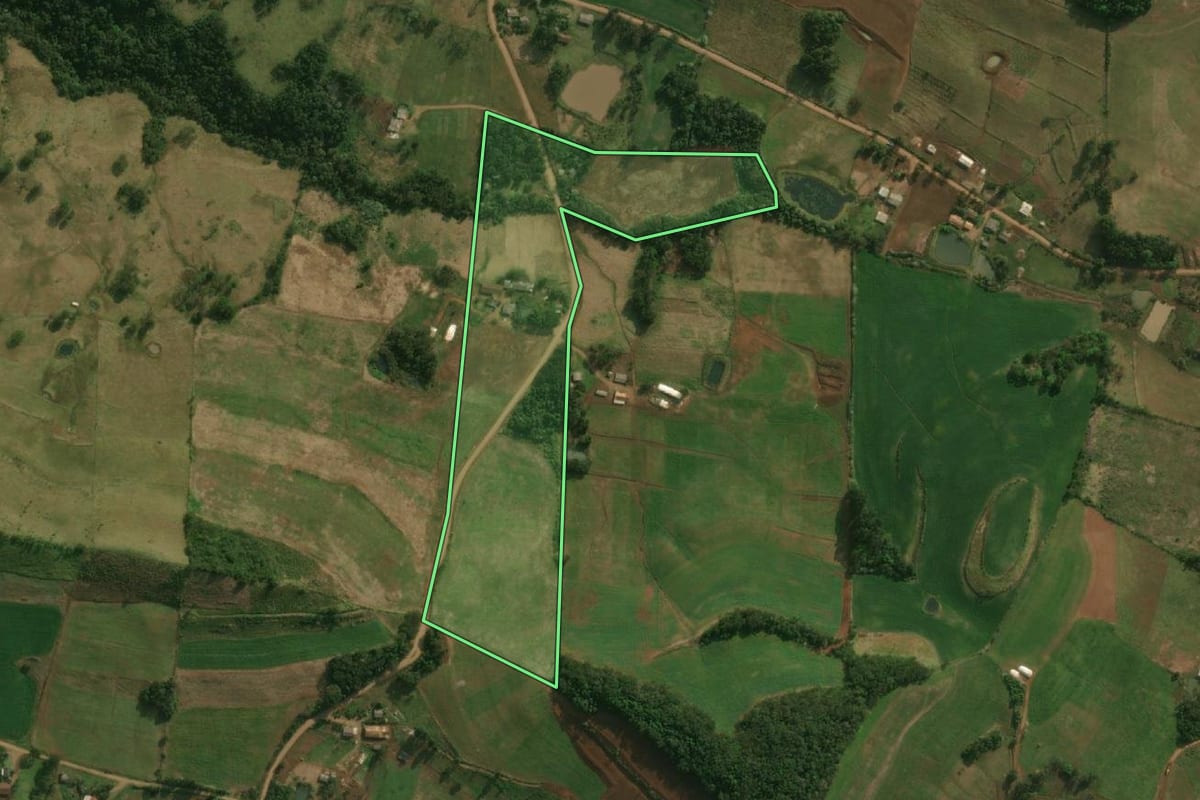 Imagem de satélite do imóvel rural em Dionísio Cerqueira (SC), com o contorno declarado no CAR desenhado por cima.