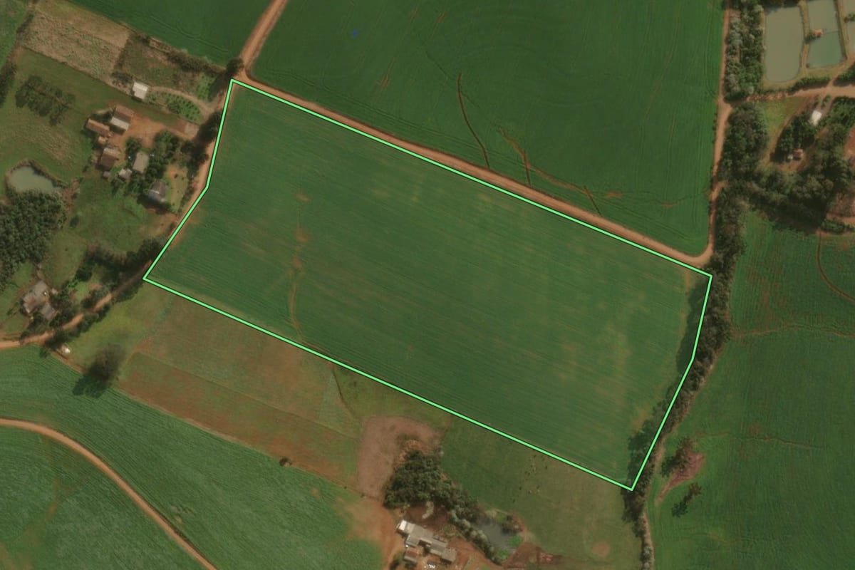 Imagem de satélite do imóvel rural em Dionísio Cerqueira (SC), com o contorno declarado no CAR desenhado por cima.
