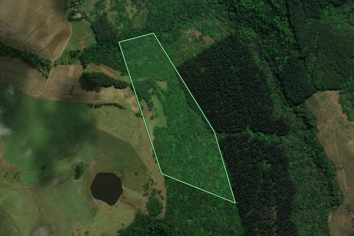 Imagem de satélite do imóvel rural em Dionísio Cerqueira (SC), com o contorno declarado no CAR desenhado por cima.
