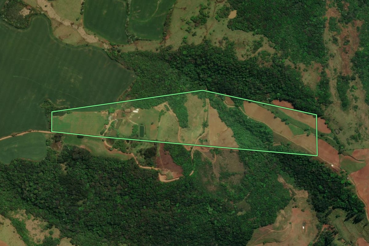 Imagem de satélite do imóvel rural em Dionísio Cerqueira (SC), com o contorno declarado no CAR desenhado por cima.