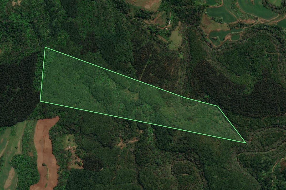 Imagem de satélite do imóvel rural em Dionísio Cerqueira (SC), com o contorno declarado no CAR desenhado por cima.