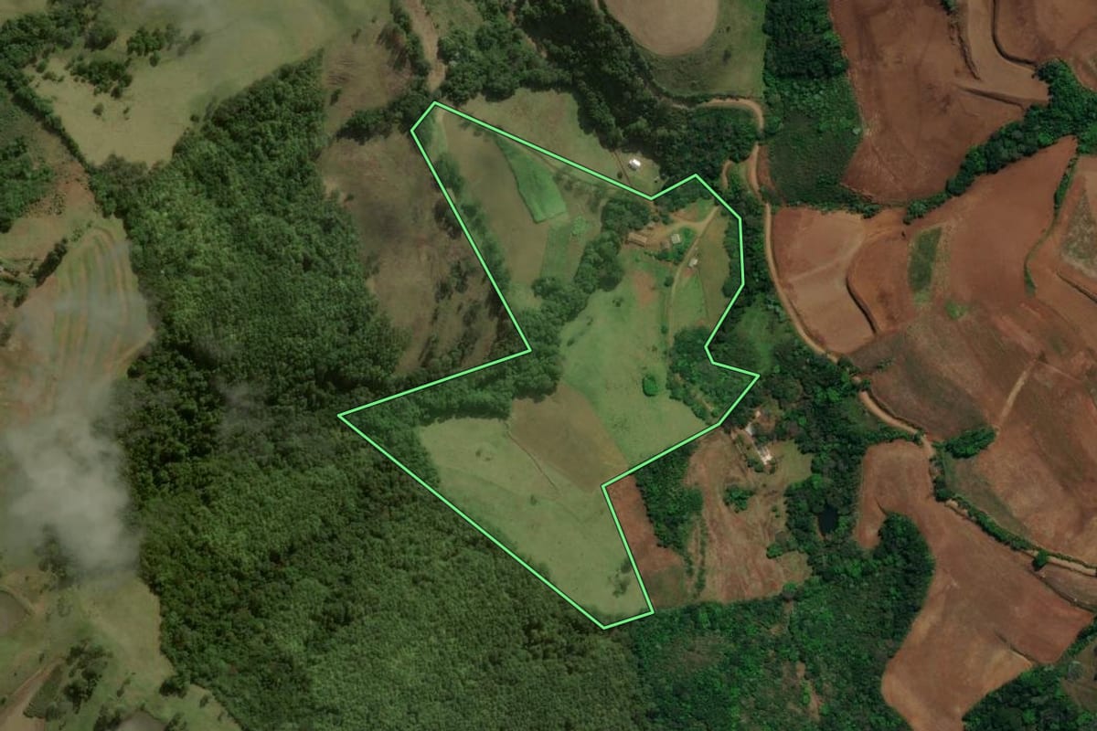 Imagem de satélite do imóvel rural em Dionísio Cerqueira (SC), com o contorno declarado no CAR desenhado por cima.
