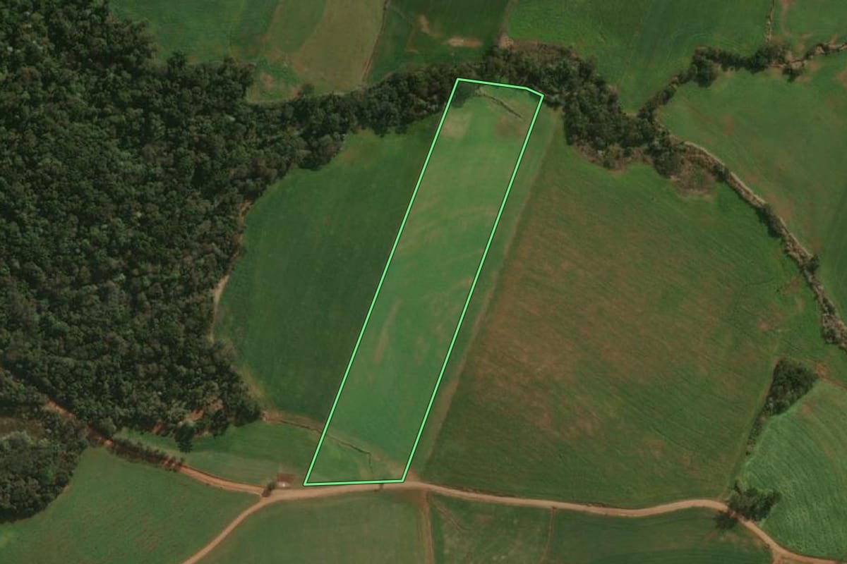 Imagem de satélite do imóvel rural em Dionísio Cerqueira (SC), com o contorno declarado no CAR desenhado por cima.