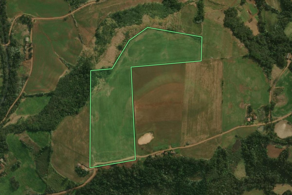 Imagem de satélite do imóvel rural em Dionísio Cerqueira (SC), com o contorno declarado no CAR desenhado por cima.