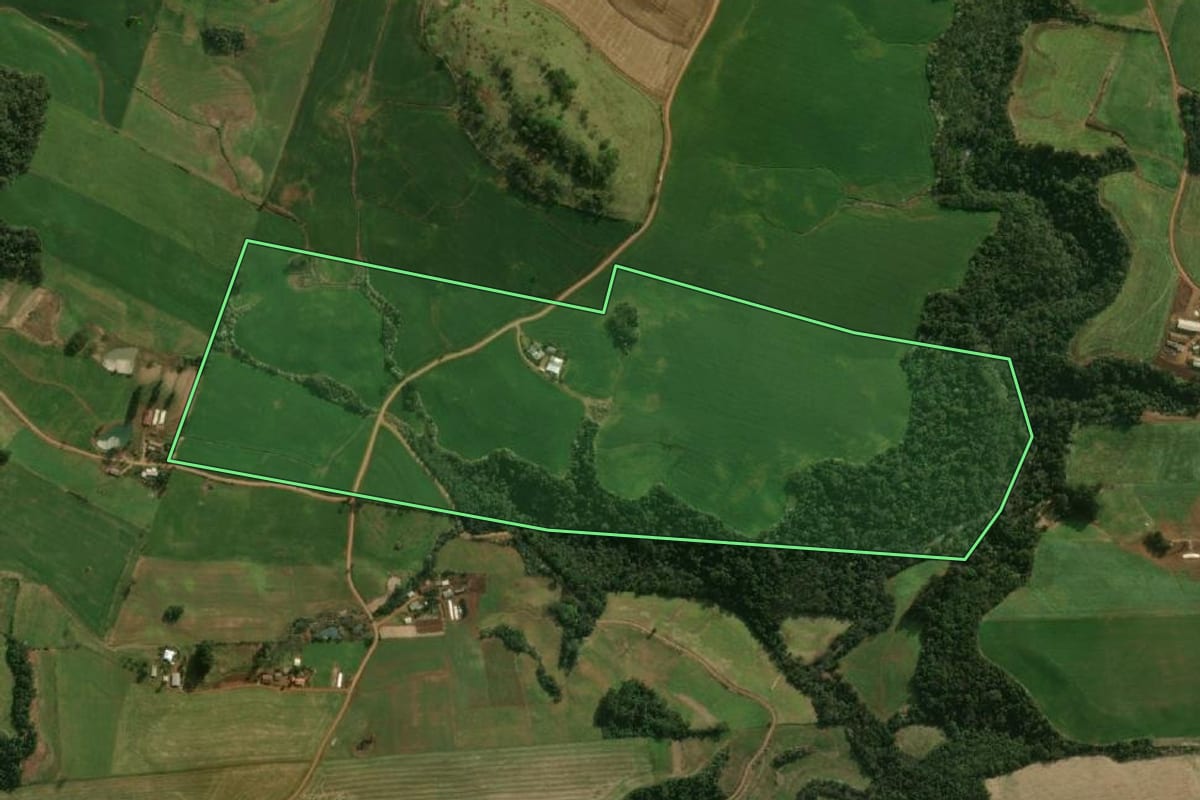 Imagem de satélite do imóvel rural em Dionísio Cerqueira (SC), com o contorno declarado no CAR desenhado por cima.