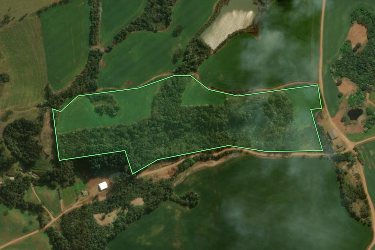 Imagem de satélite do imóvel rural em Dionísio Cerqueira (SC), com o contorno declarado no CAR desenhado por cima.