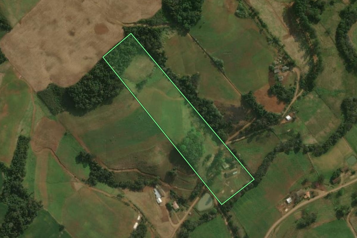 Imagem de satélite do imóvel rural em Dionísio Cerqueira (SC), com o contorno declarado no CAR desenhado por cima.