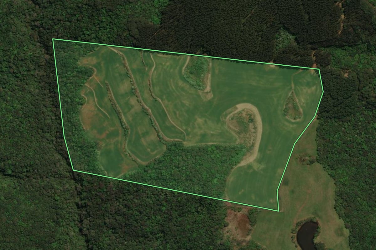 Imagem de satélite do imóvel rural em Dionísio Cerqueira (SC), com o contorno declarado no CAR desenhado por cima.
