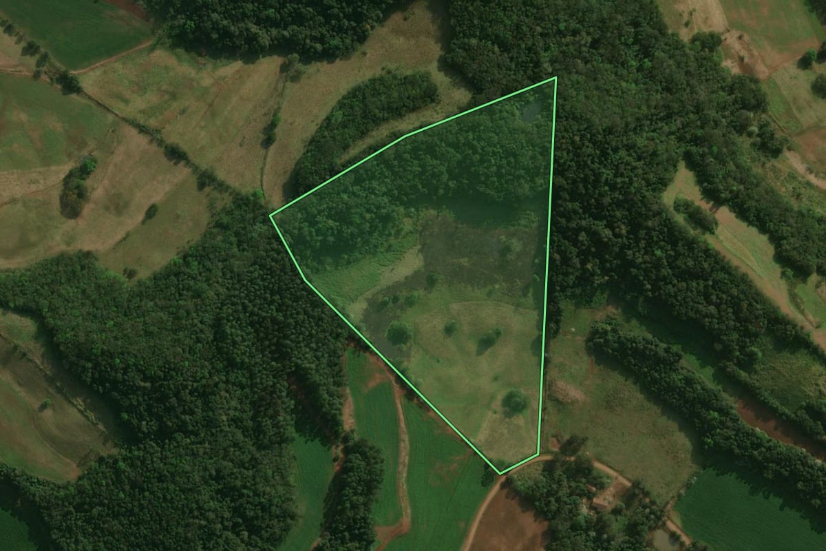 Imagem de satélite do imóvel rural em Dionísio Cerqueira (SC), com o contorno declarado no CAR desenhado por cima.