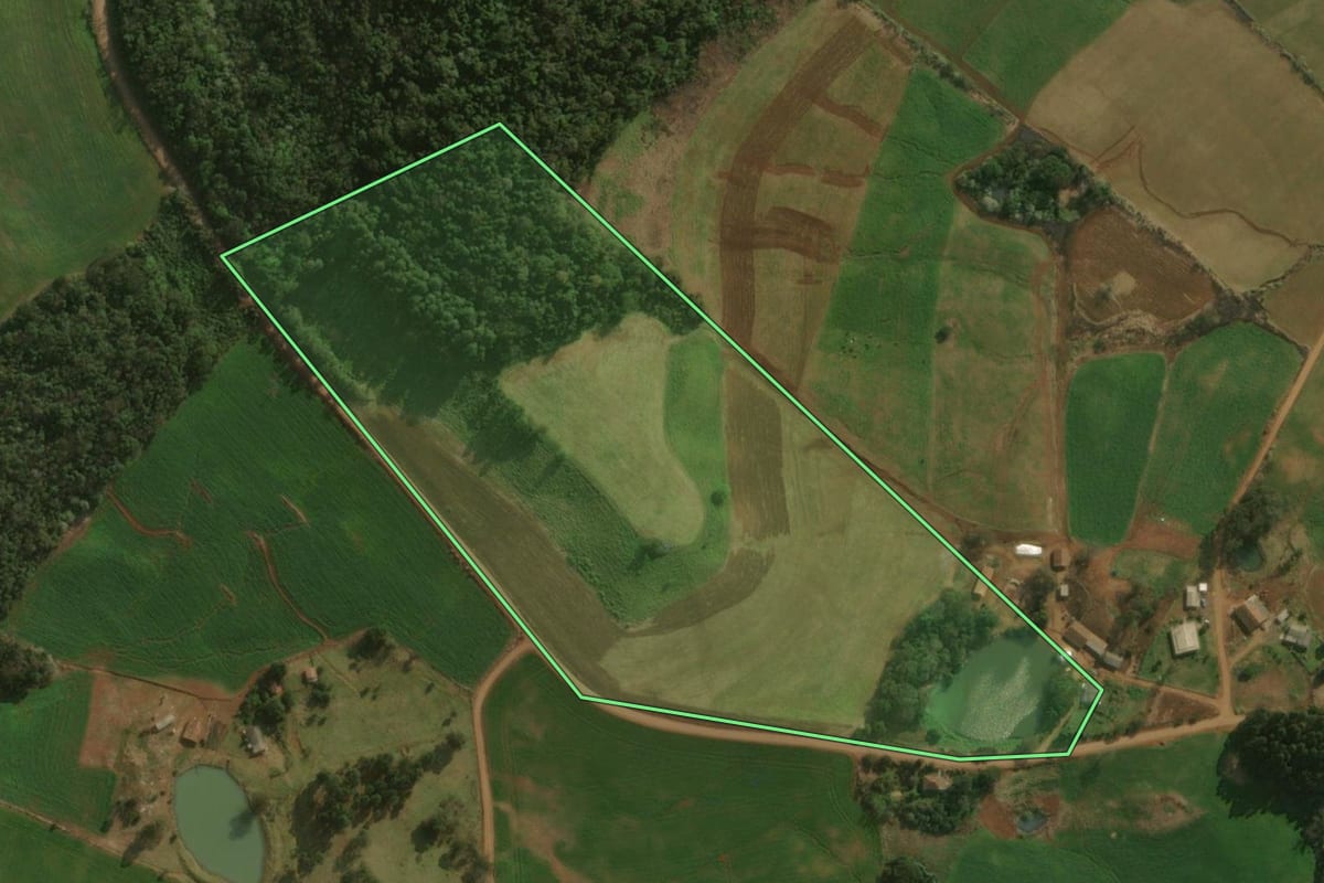 Imagem de satélite do imóvel rural em Dionísio Cerqueira (SC), com o contorno declarado no CAR desenhado por cima.