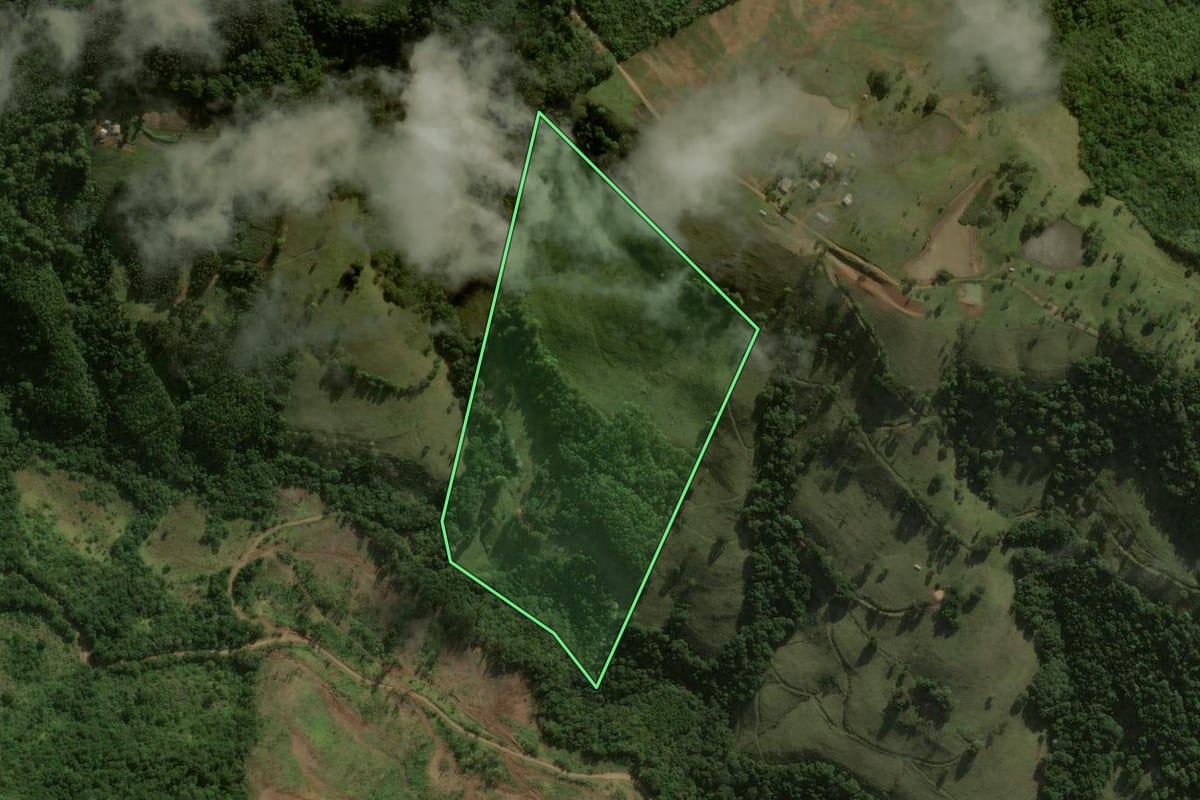 Imagem de satélite do imóvel rural em Dionísio Cerqueira (SC), com o contorno declarado no CAR desenhado por cima.
