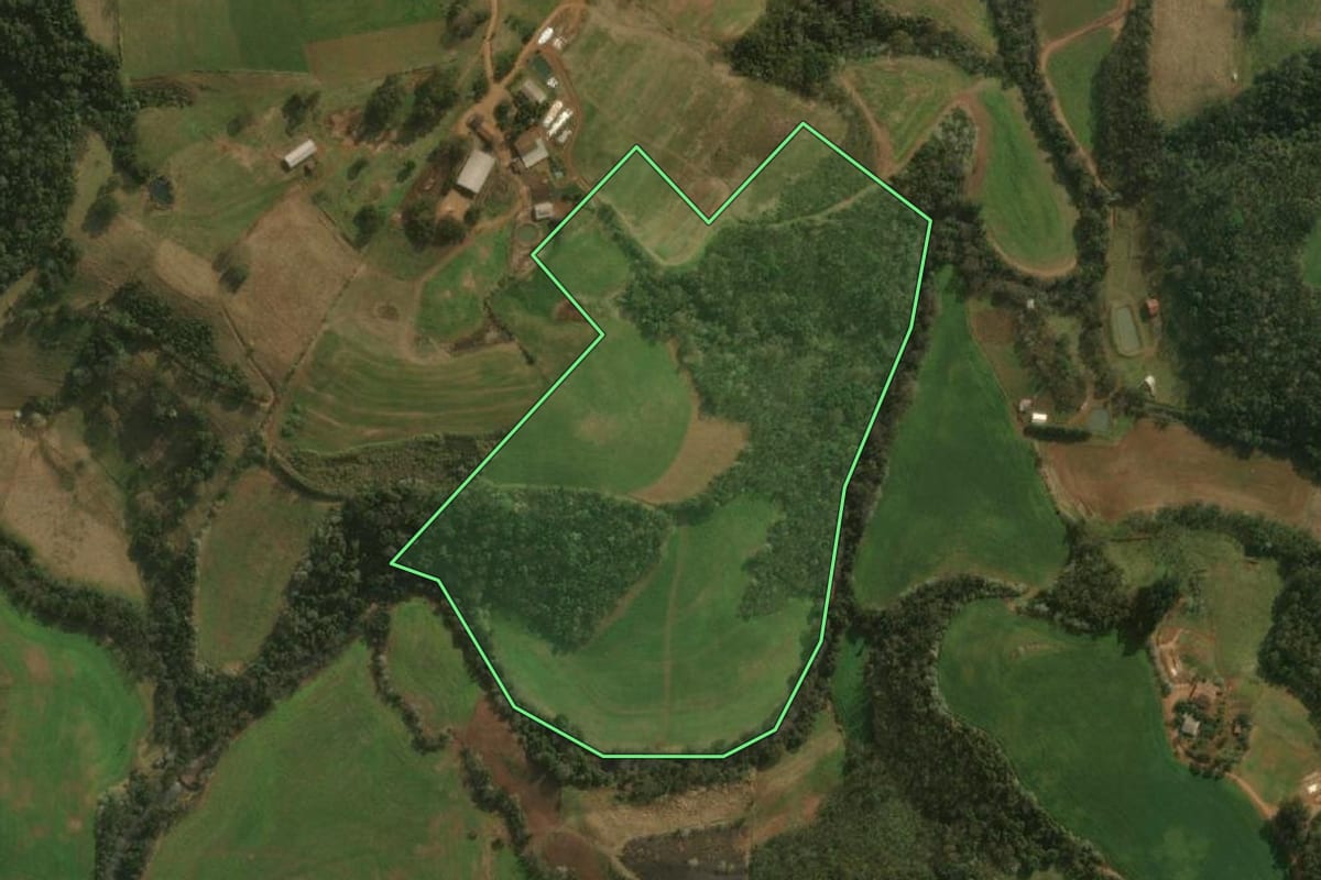 Imagem de satélite do imóvel rural em Dionísio Cerqueira (SC), com o contorno declarado no CAR desenhado por cima.