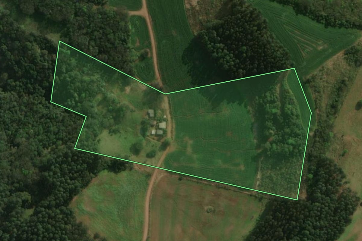 Imagem de satélite do imóvel rural em Dionísio Cerqueira (SC), com o contorno declarado no CAR desenhado por cima.