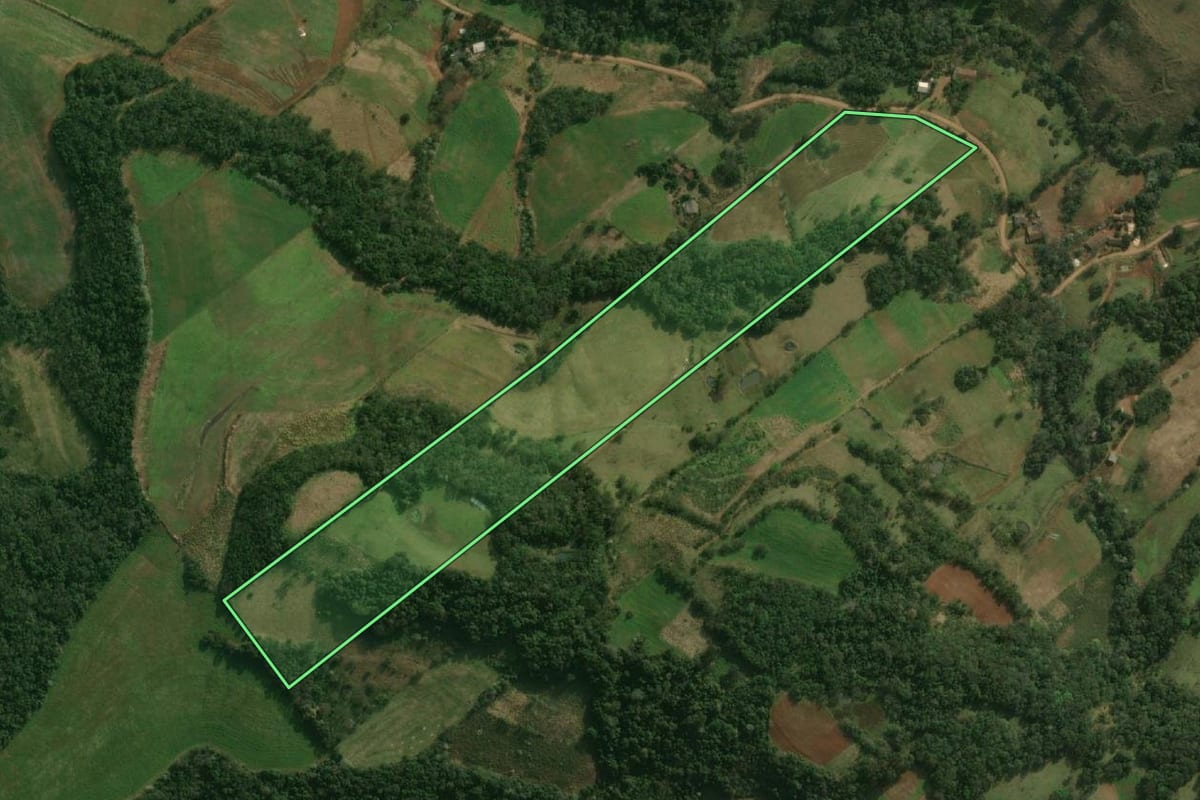 Imagem de satélite do imóvel rural em Dionísio Cerqueira (SC), com o contorno declarado no CAR desenhado por cima.