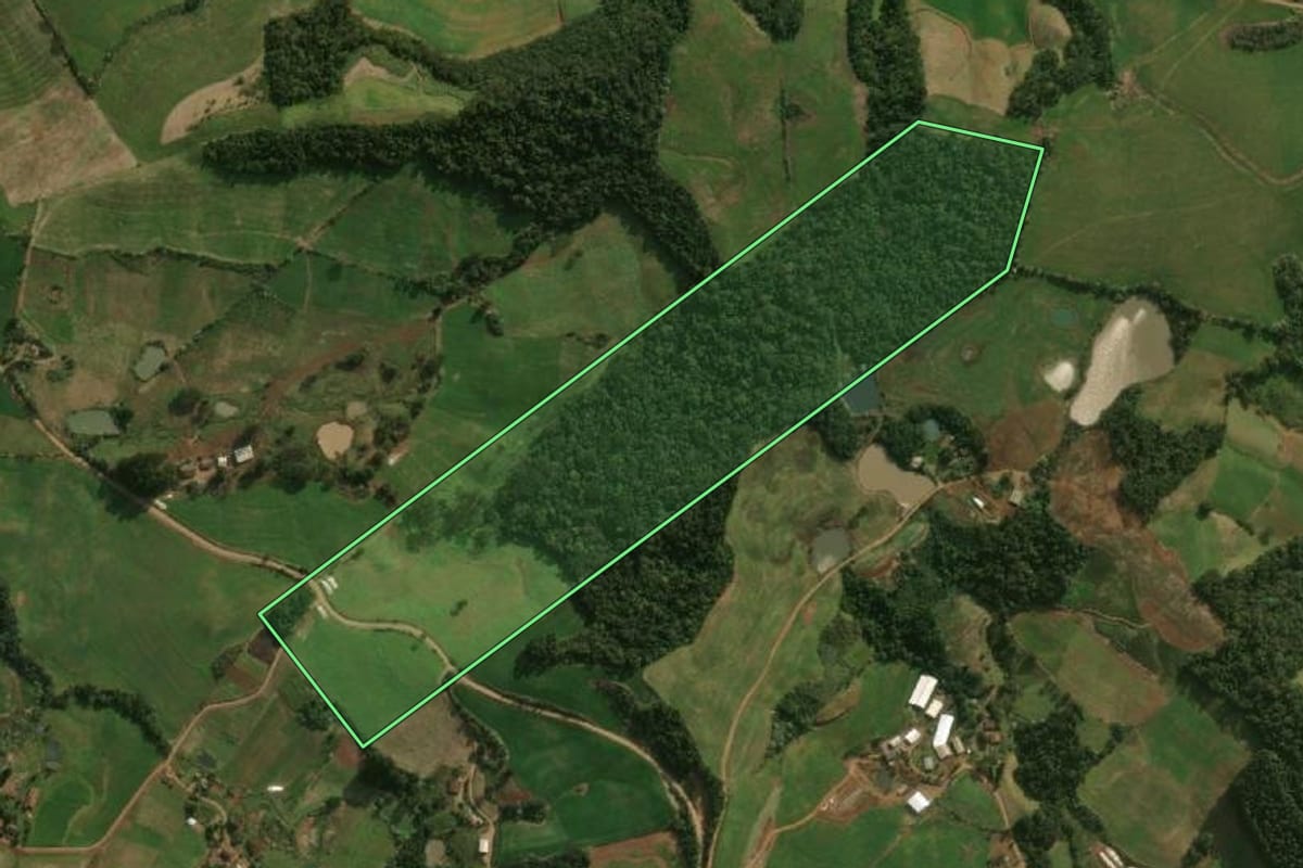 Imagem de satélite do imóvel rural em Dionísio Cerqueira (SC), com o contorno declarado no CAR desenhado por cima.