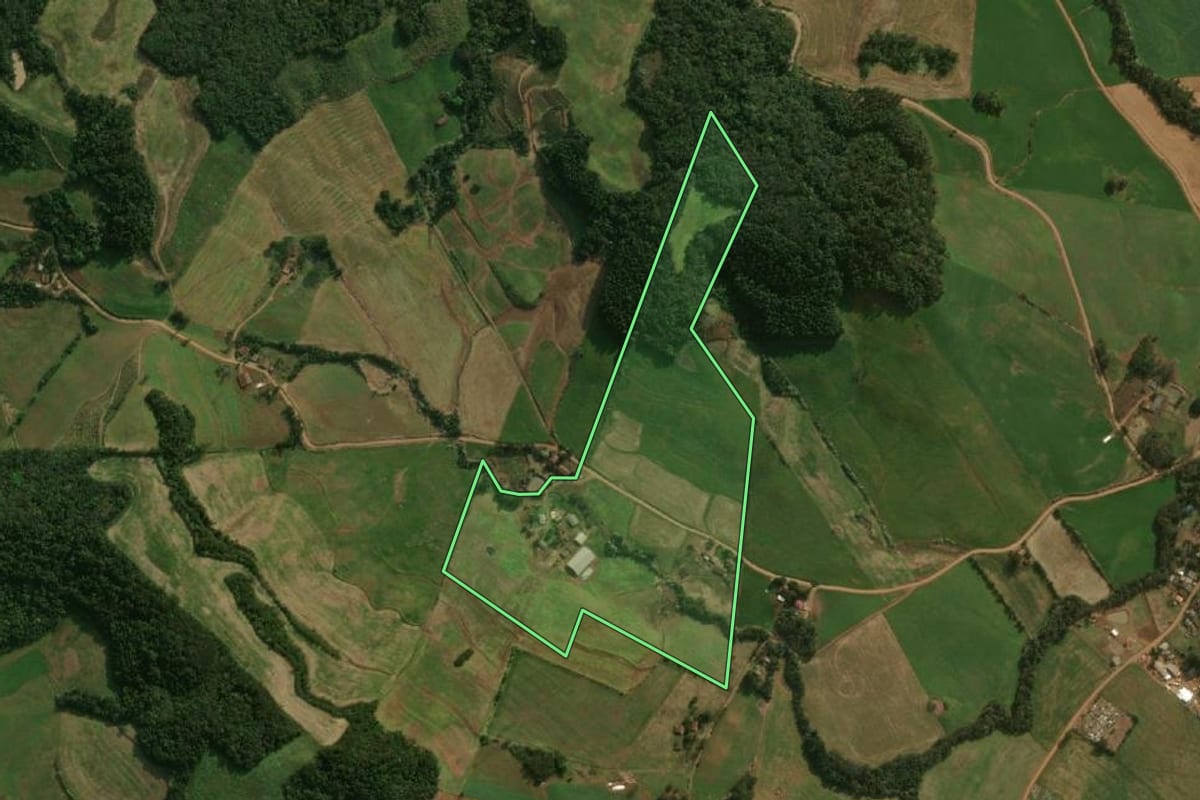 Imagem de satélite do imóvel rural em Dionísio Cerqueira (SC), com o contorno declarado no CAR desenhado por cima.