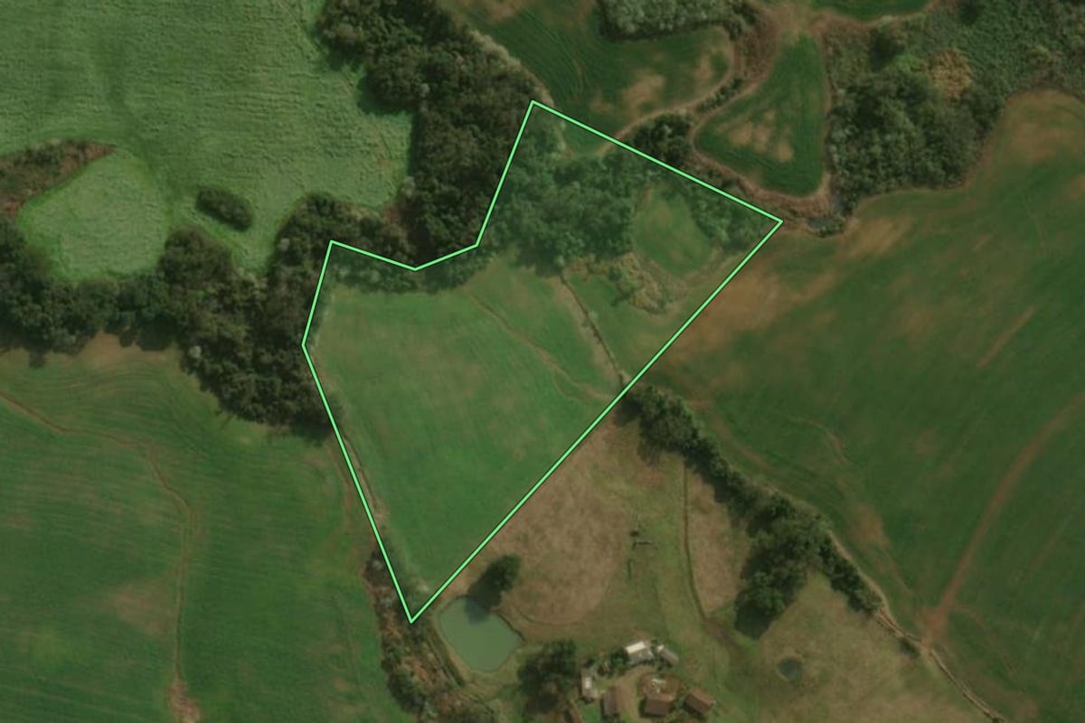 Imagem de satélite do imóvel rural em Dionísio Cerqueira (SC), com o contorno declarado no CAR desenhado por cima.