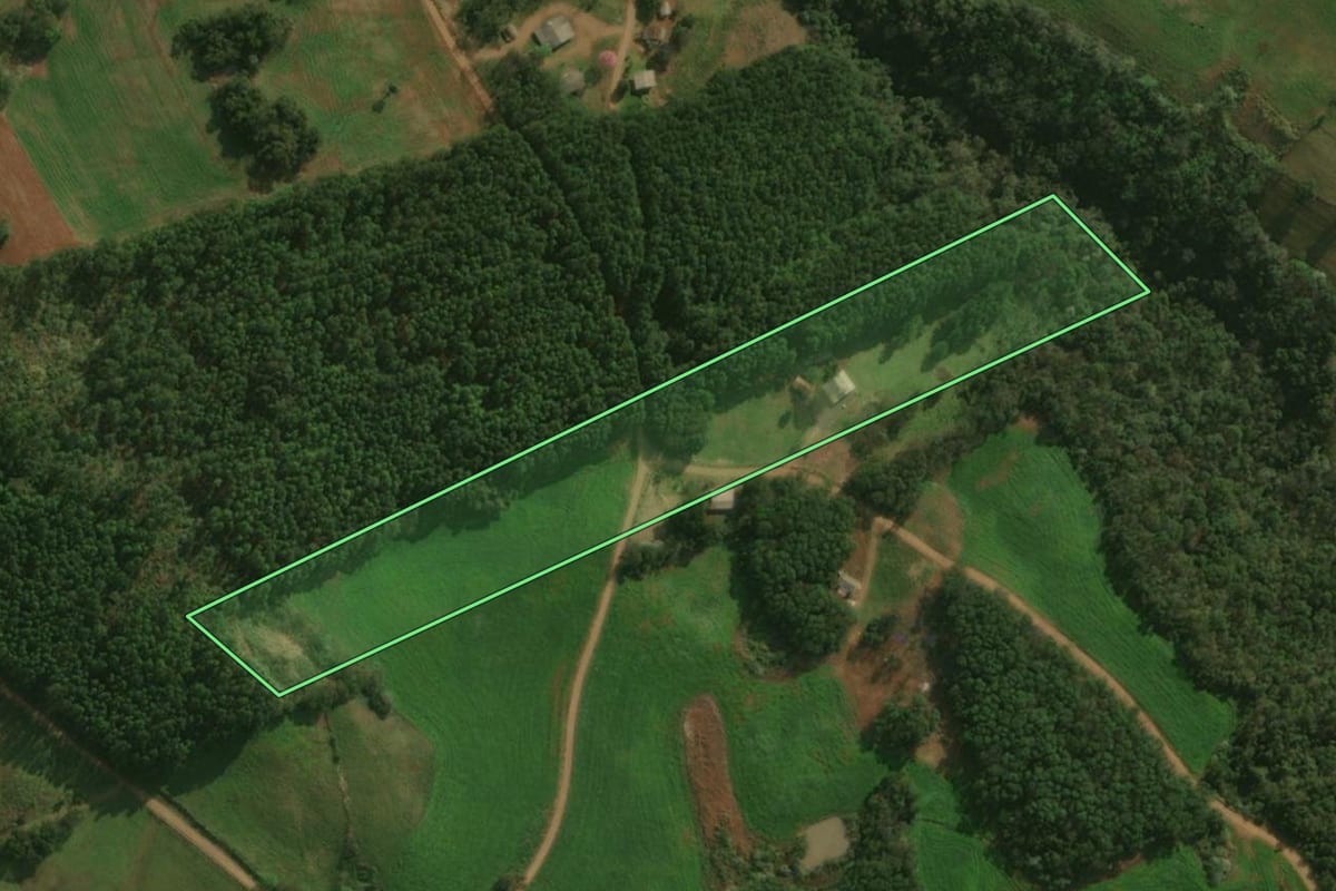Imagem de satélite do imóvel rural em Dionísio Cerqueira (SC), com o contorno declarado no CAR desenhado por cima.