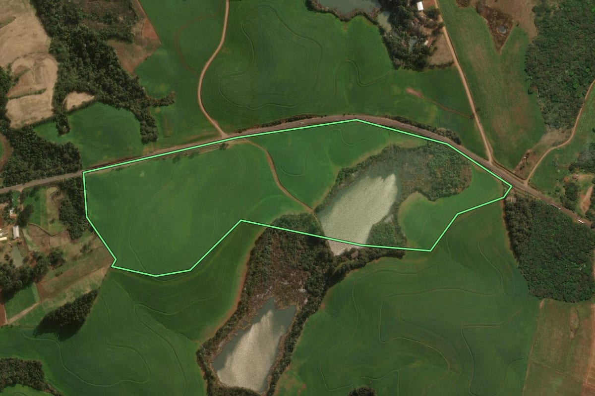Imagem de satélite do imóvel rural em Dionísio Cerqueira (SC), com o contorno declarado no CAR desenhado por cima.