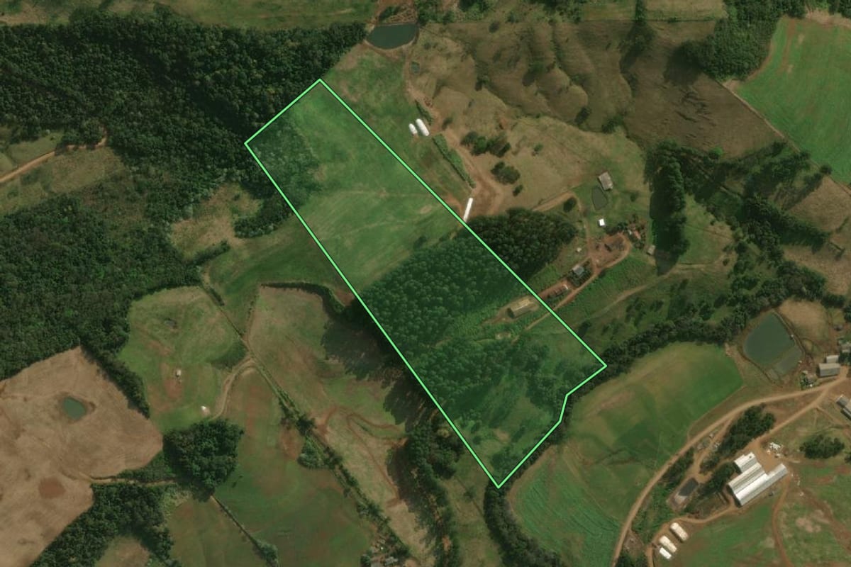 Imagem de satélite do imóvel rural em Dionísio Cerqueira (SC), com o contorno declarado no CAR desenhado por cima.