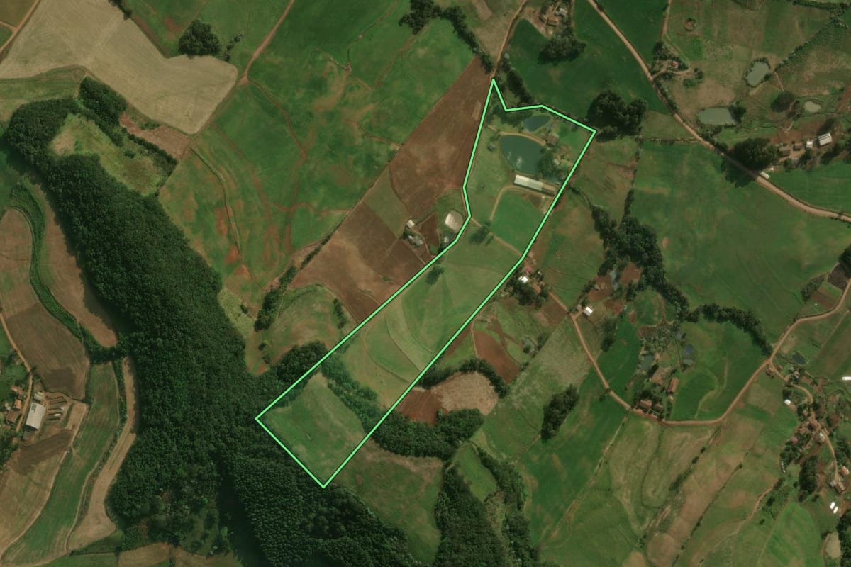 Imagem de satélite do imóvel rural em Dionísio Cerqueira (SC), com o contorno declarado no CAR desenhado por cima.