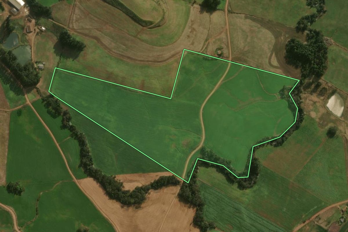 Imagem de satélite do imóvel rural em Dionísio Cerqueira (SC), com o contorno declarado no CAR desenhado por cima.