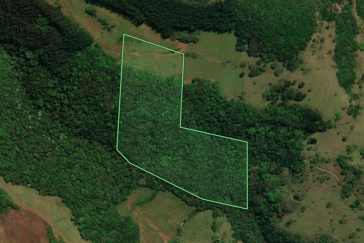 Imagem de satélite do imóvel rural em Dionísio Cerqueira (SC), com o contorno declarado no CAR desenhado por cima.