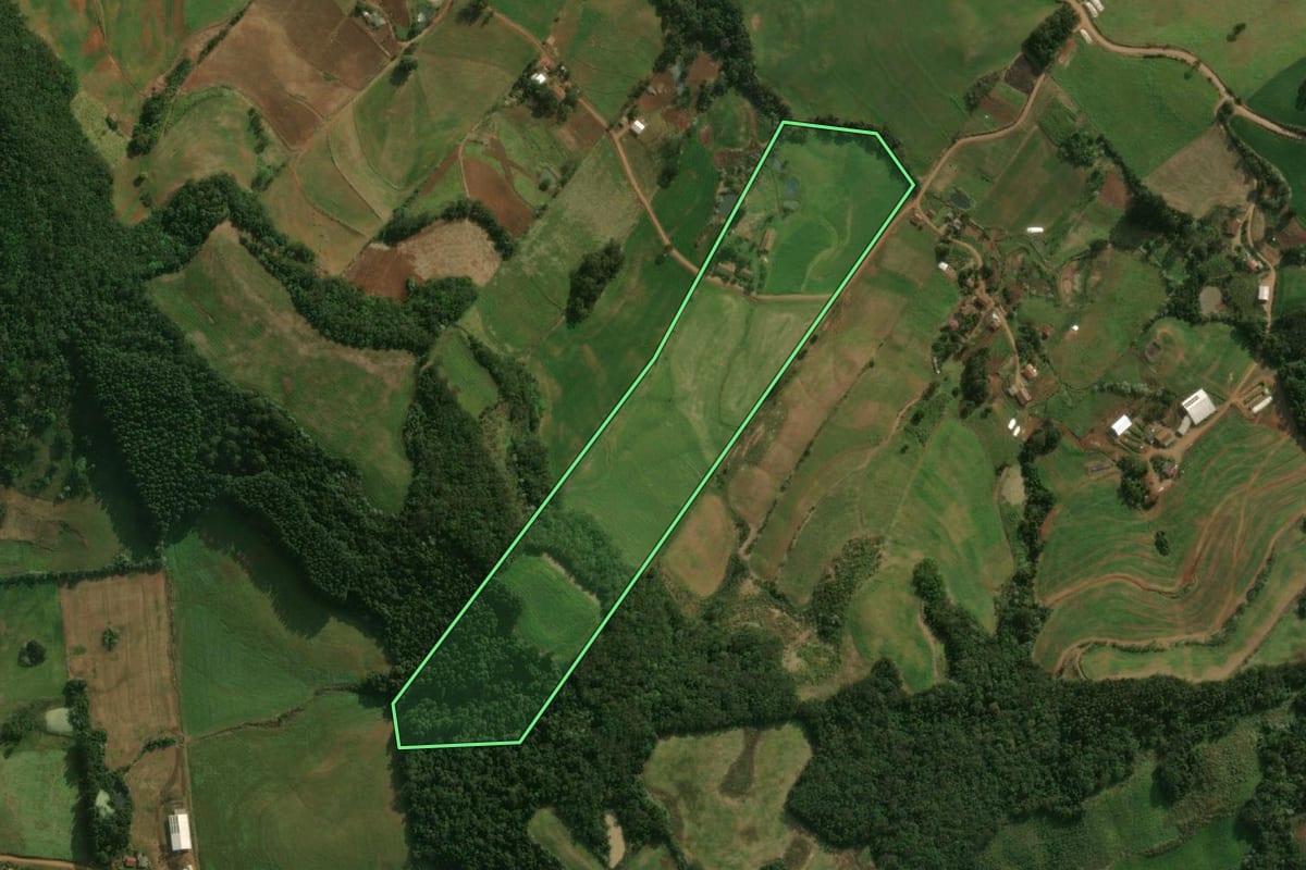Imagem de satélite do imóvel rural em Dionísio Cerqueira (SC), com o contorno declarado no CAR desenhado por cima.