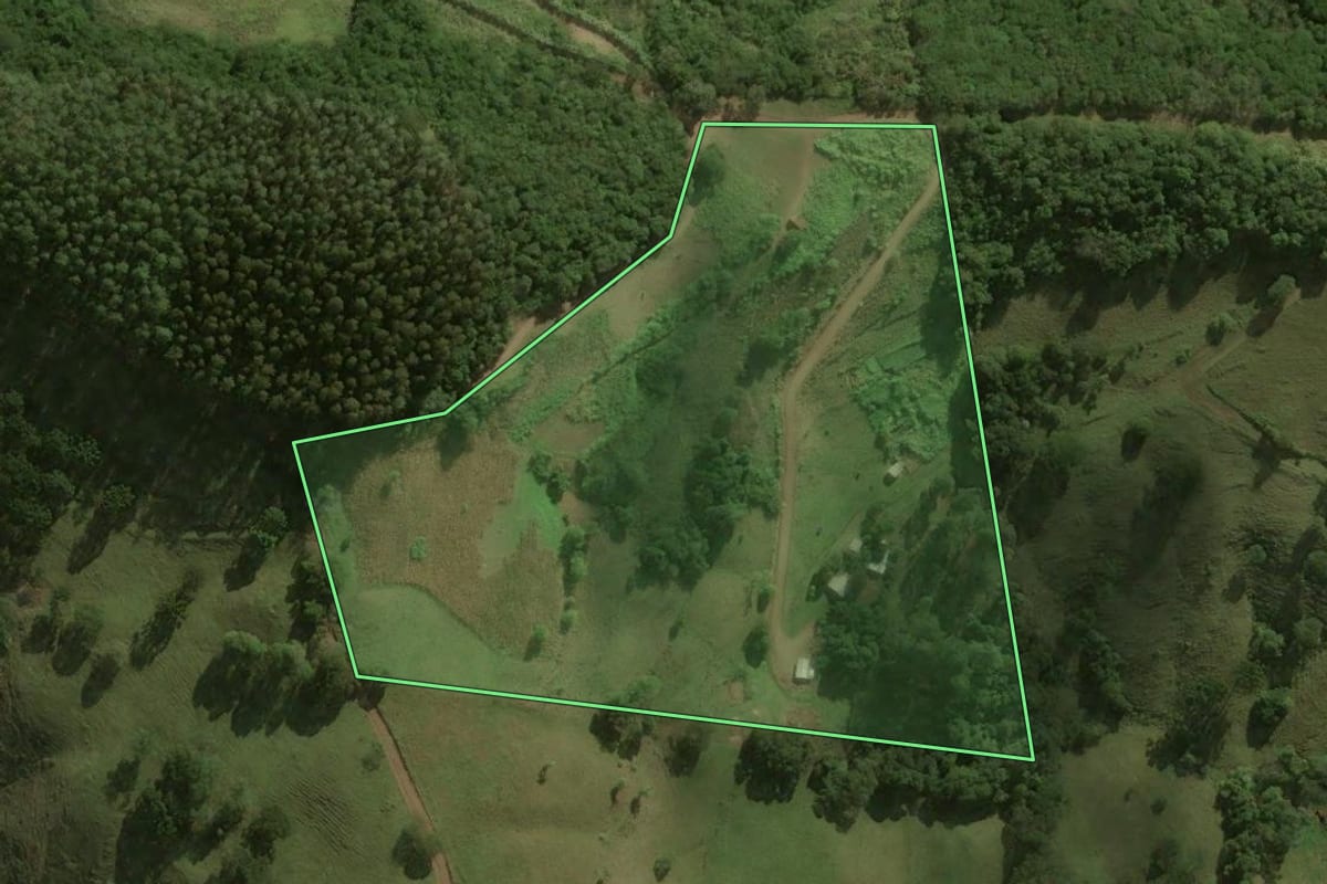 Imagem de satélite do imóvel rural em Dionísio Cerqueira (SC), com o contorno declarado no CAR desenhado por cima.