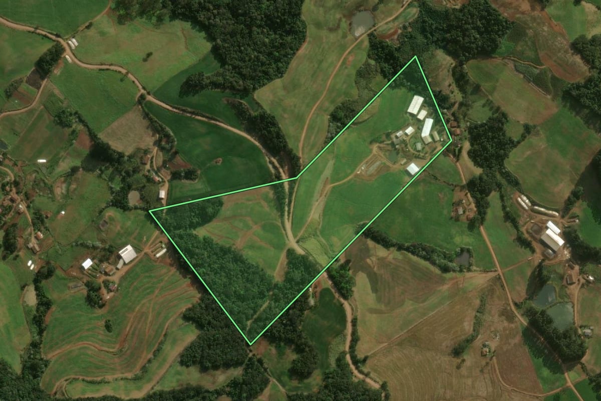Imagem de satélite do imóvel rural em Dionísio Cerqueira (SC), com o contorno declarado no CAR desenhado por cima.