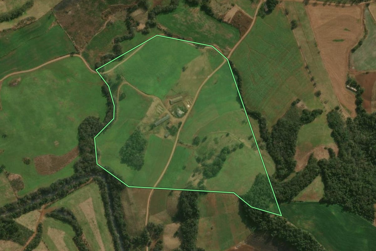 Imagem de satélite do imóvel rural em Dionísio Cerqueira (SC), com o contorno declarado no CAR desenhado por cima.