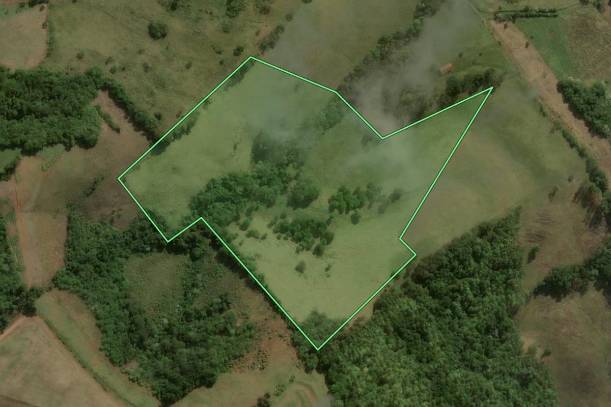 Imagem de satélite do imóvel rural em Dionísio Cerqueira (SC), com o contorno declarado no CAR desenhado por cima.