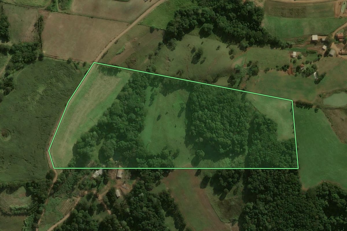 Imagem de satélite do imóvel rural em Dionísio Cerqueira (SC), com o contorno declarado no CAR desenhado por cima.