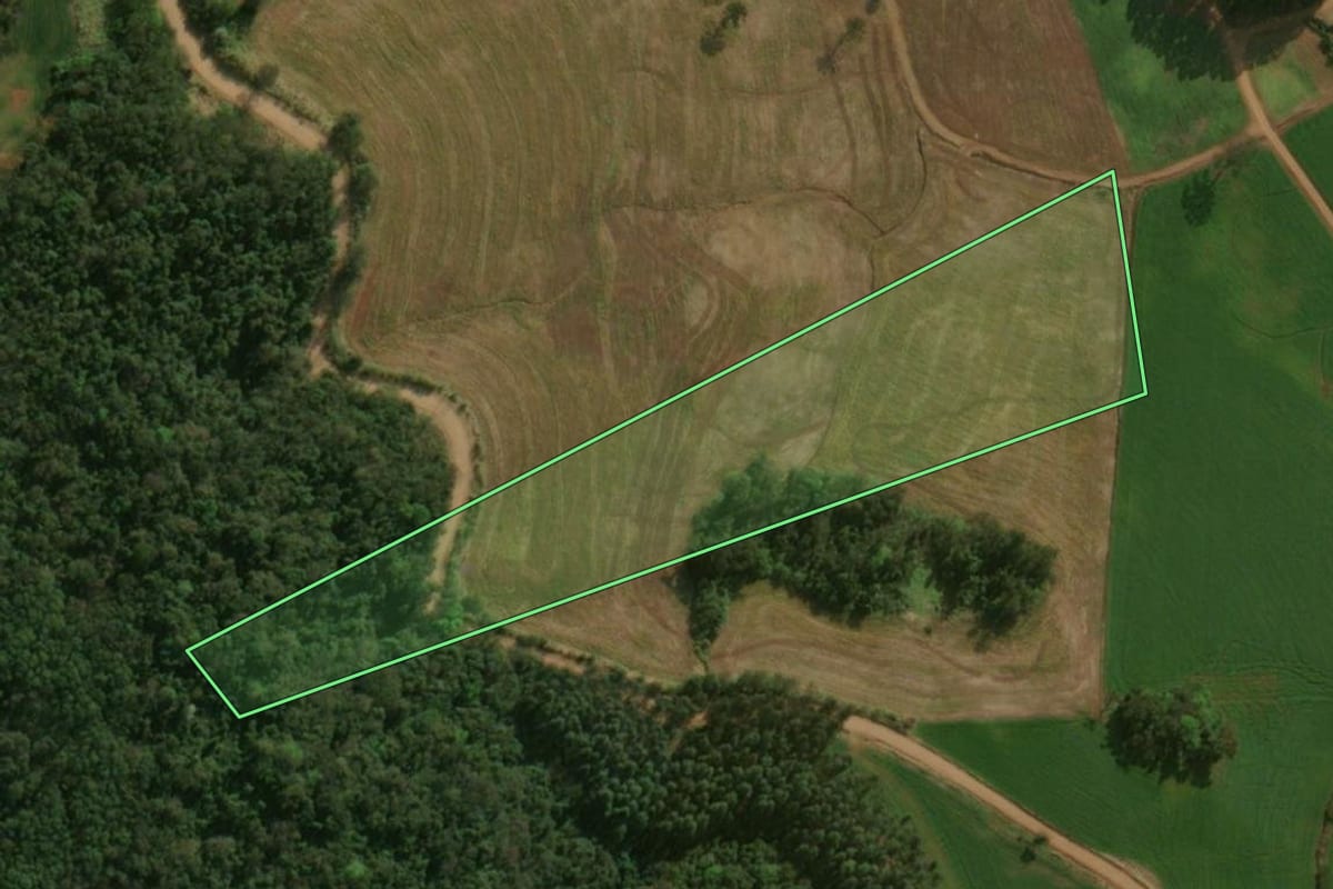 Imagem de satélite do imóvel rural em Dionísio Cerqueira (SC), com o contorno declarado no CAR desenhado por cima.