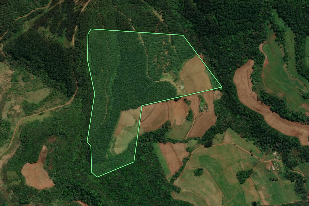 Imagem de satélite do imóvel rural em Dionísio Cerqueira (SC), com o contorno declarado no CAR desenhado por cima.