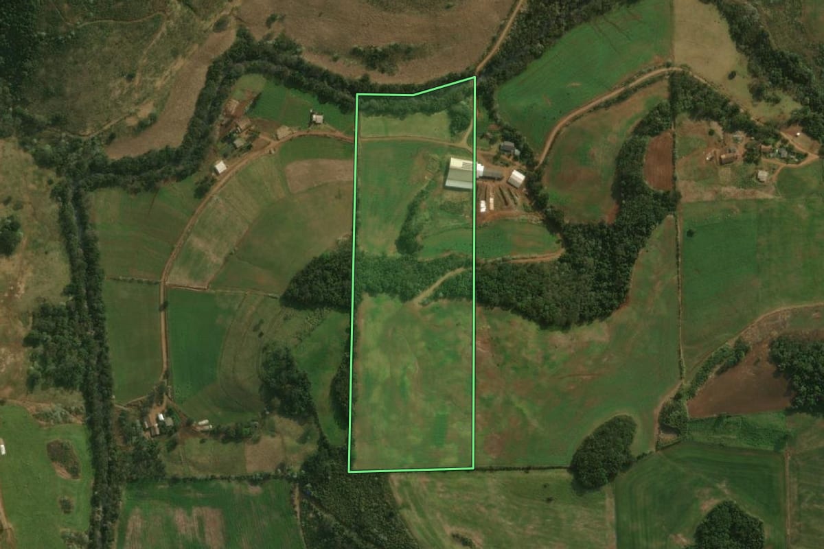 Imagem de satélite do imóvel rural em Dionísio Cerqueira (SC), com o contorno declarado no CAR desenhado por cima.
