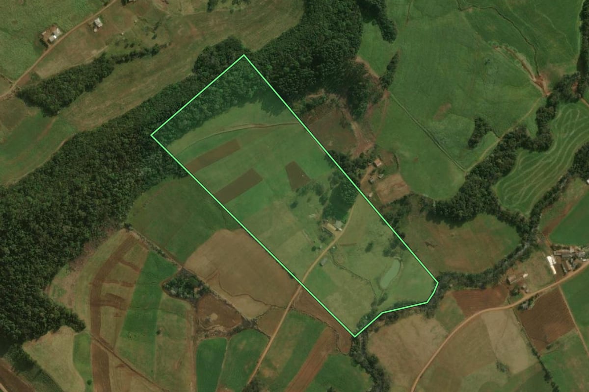 Imagem de satélite do imóvel rural em Dionísio Cerqueira (SC), com o contorno declarado no CAR desenhado por cima.