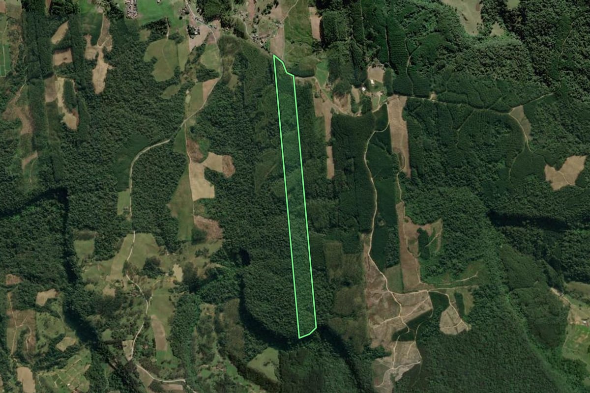 Imagem de satélite do imóvel rural em Dona Emma (SC), com o contorno declarado no CAR desenhado por cima.