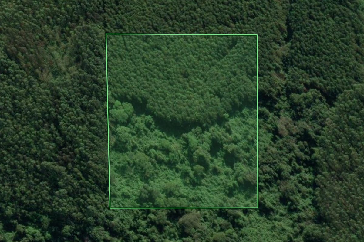 Imagem de satélite do imóvel rural em Dona Emma (SC), com o contorno declarado no CAR desenhado por cima.