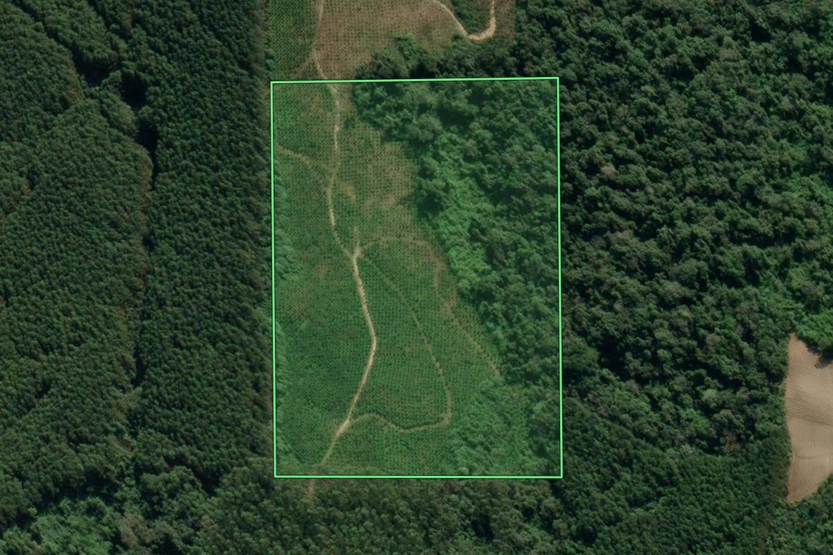 Imagem de satélite do imóvel rural em Dona Emma (SC), com o contorno declarado no CAR desenhado por cima.