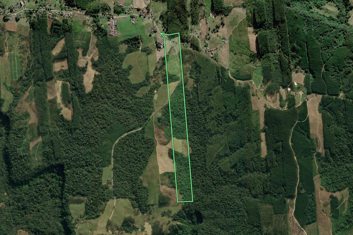 Imagem de satélite do imóvel rural em Dona Emma (SC), com o contorno declarado no CAR desenhado por cima.
