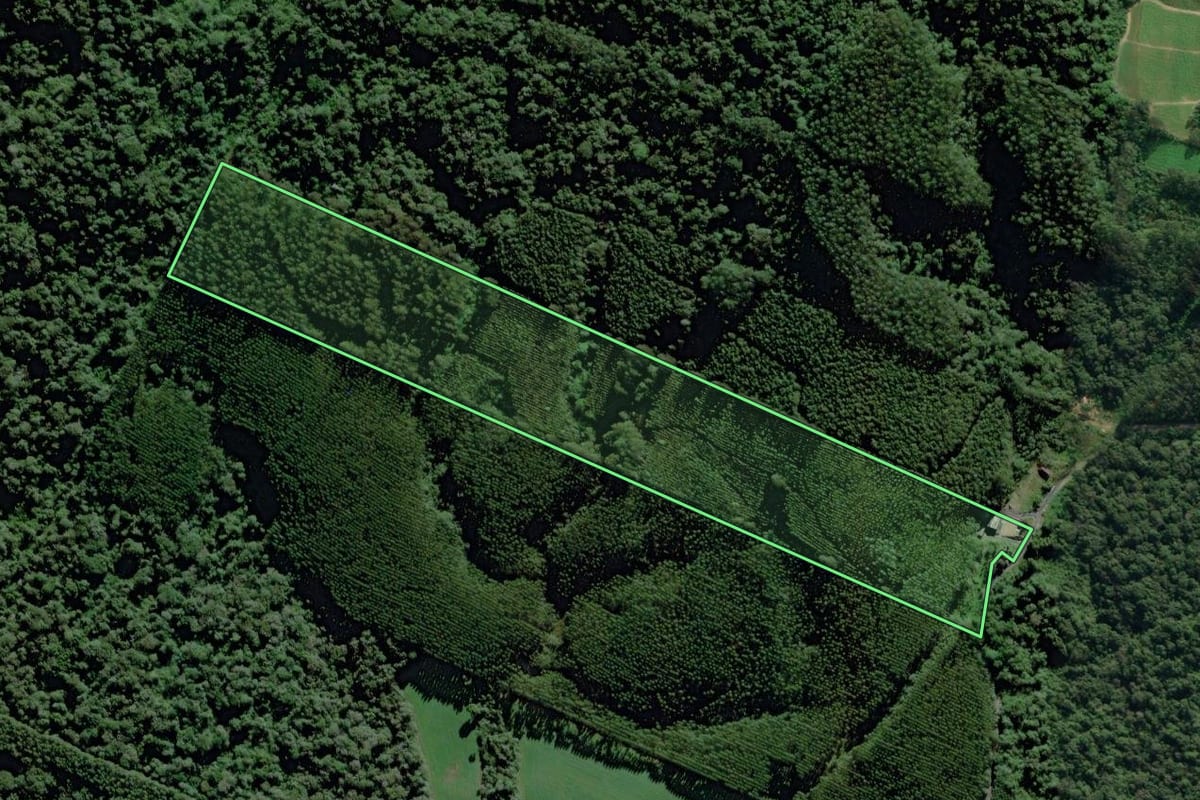 Imagem de satélite do imóvel rural em Dona Emma (SC), com o contorno declarado no CAR desenhado por cima.