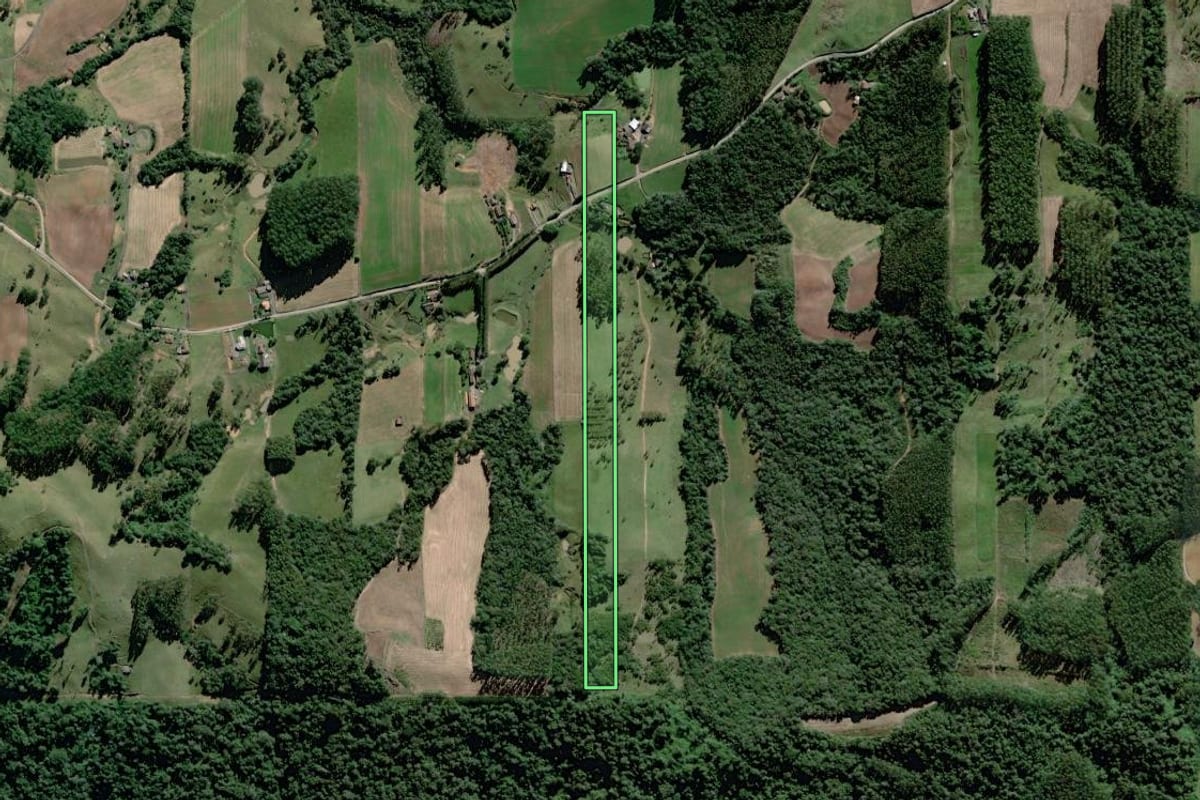 Imagem de satélite do imóvel rural em Dona Emma (SC), com o contorno declarado no CAR desenhado por cima.