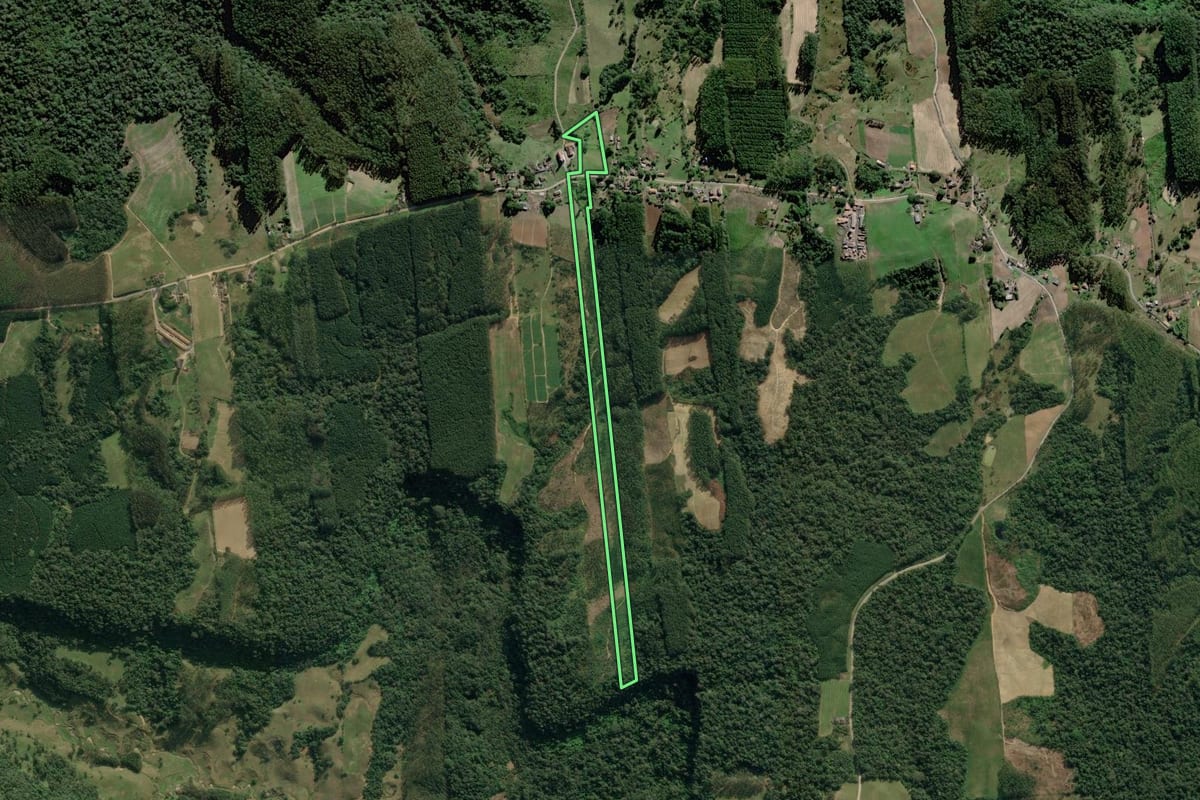 Imagem de satélite do imóvel rural em Dona Emma (SC), com o contorno declarado no CAR desenhado por cima.