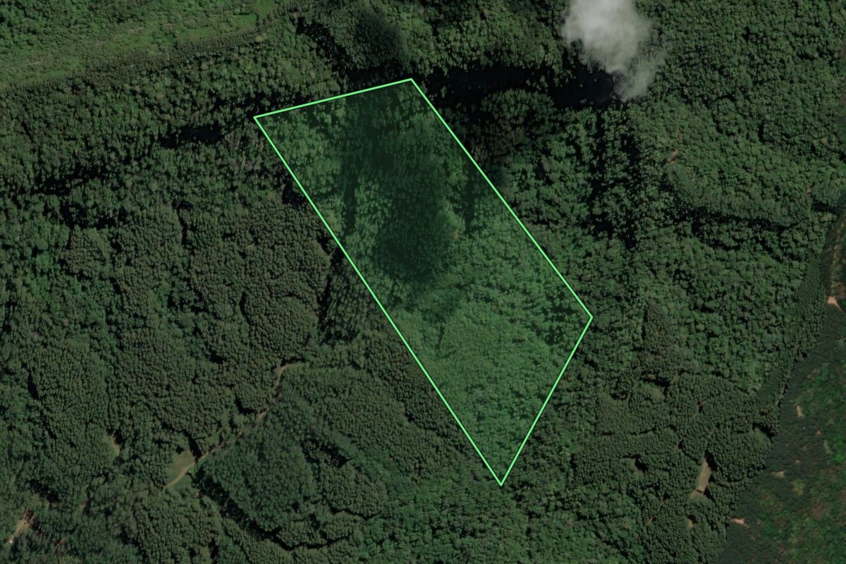 Imagem de satélite do imóvel rural em Dona Emma (SC), com o contorno declarado no CAR desenhado por cima.